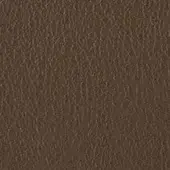 Dark brown leather texture with embossed granular surface, dense matte finish, and irregular linear pattern; handwritten label visible.